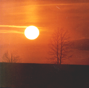 sunset.gif (50753 bytes)