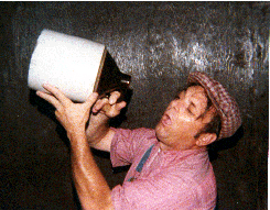 willy1.gif (36058 bytes)